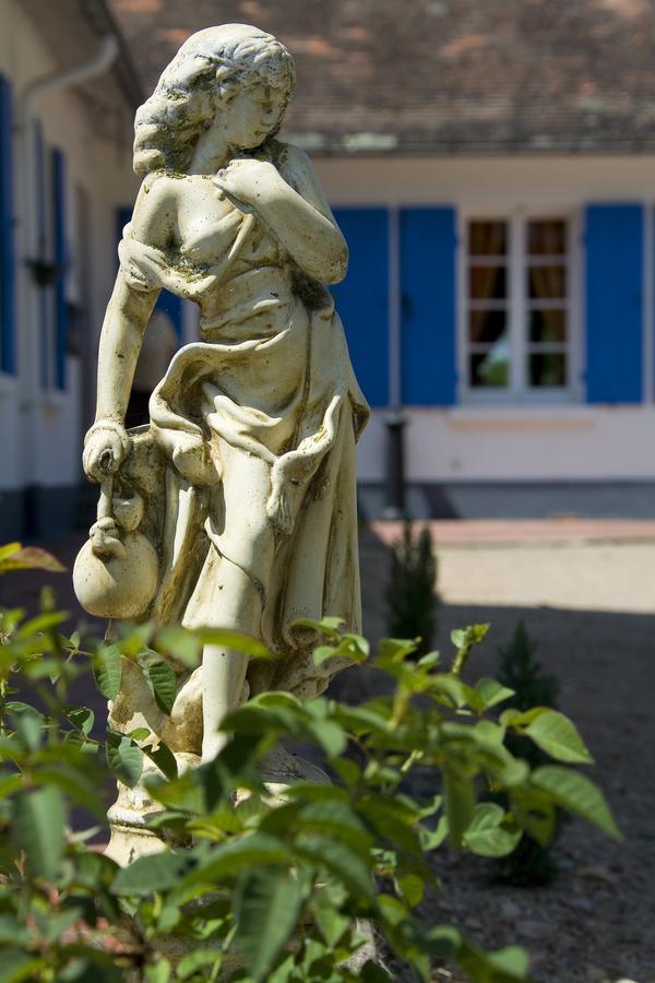 La Maison Du Lac Thionne Екстериор снимка